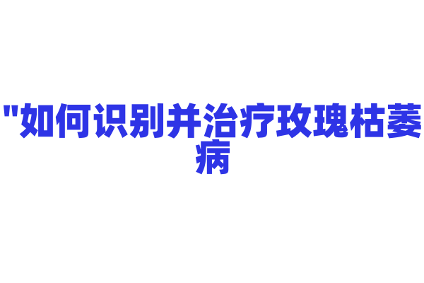 "如何识别并治疗玫瑰枯萎病？"